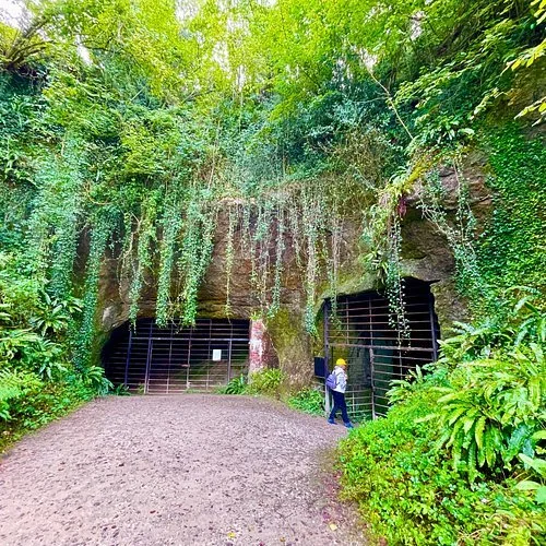 A person wearing a yellow hat and backpack walking towards a tunnel entrance in a lush, green forest with hanging vines and dense foliage.