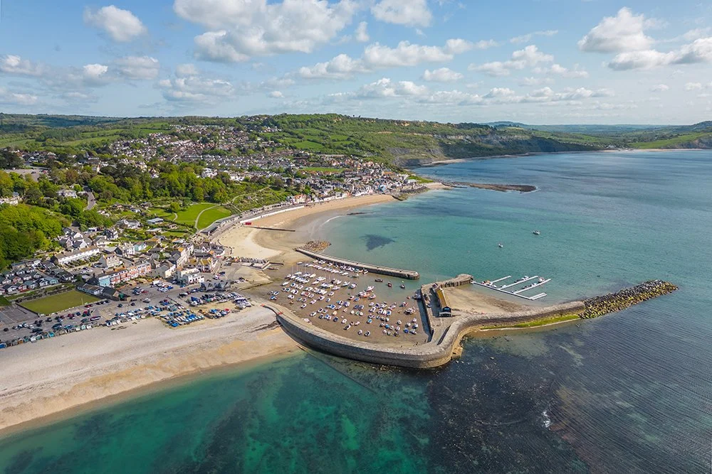 Aerial view of a coastal town with a sandy beach, harbor filled with boats, and hillside residential area.