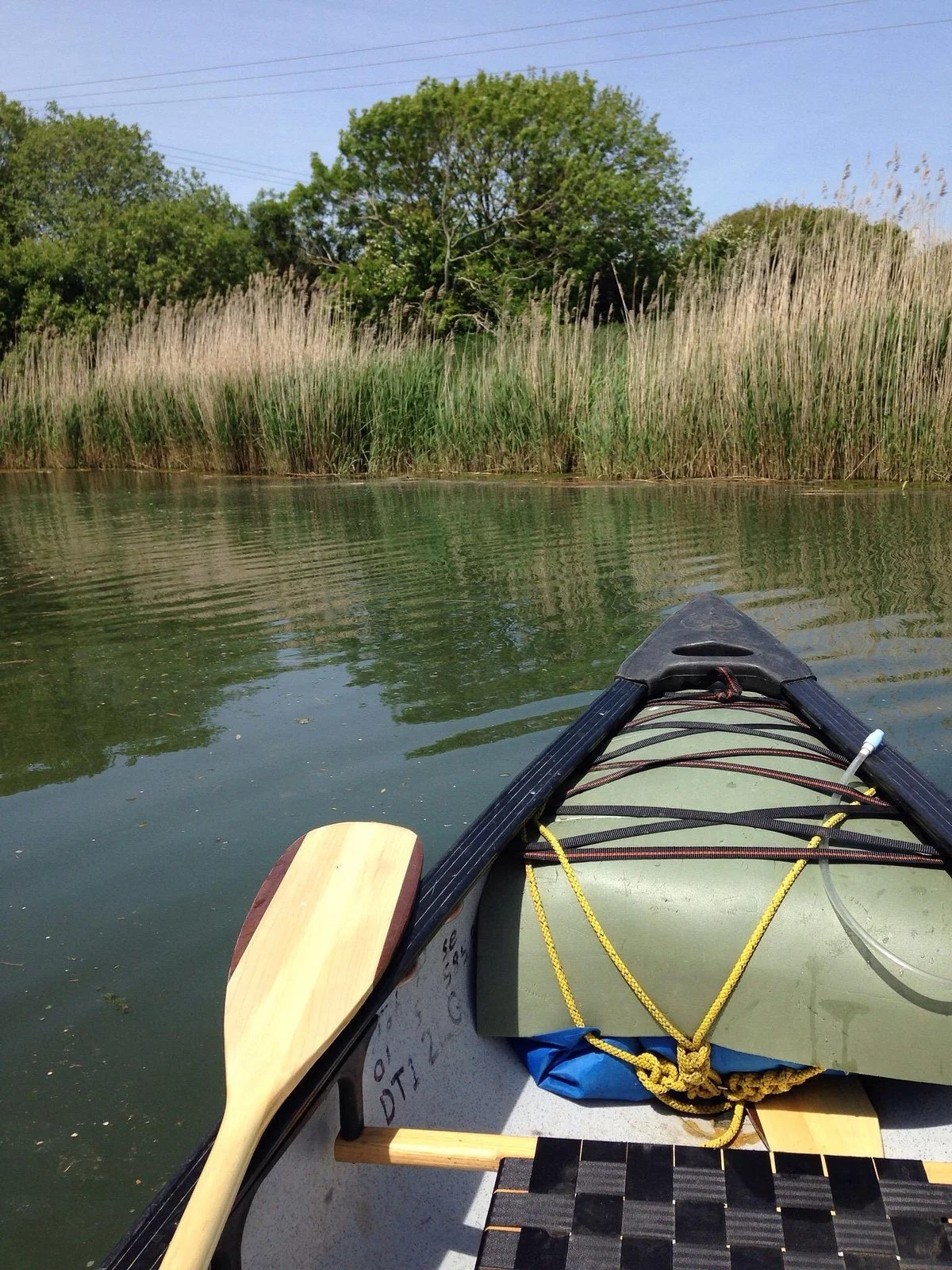 View from a kayak on a calm river or lake with tall reeds and trees along the shoreline under a clear sky.