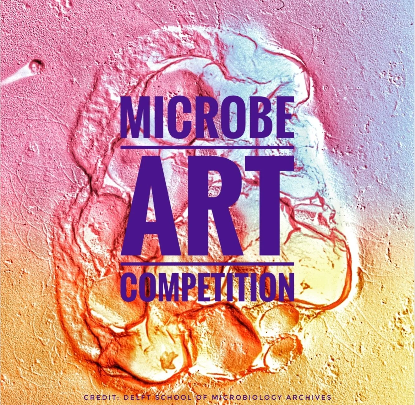 International Microorganism Day Microbe Art Contest Winners