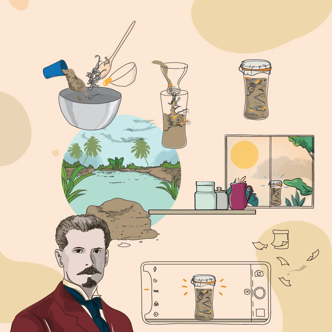 Launching 2 New Teaching Resources for IMD