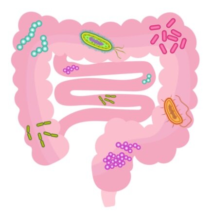 Journey to the Center of the Gut — International Microorganism Day