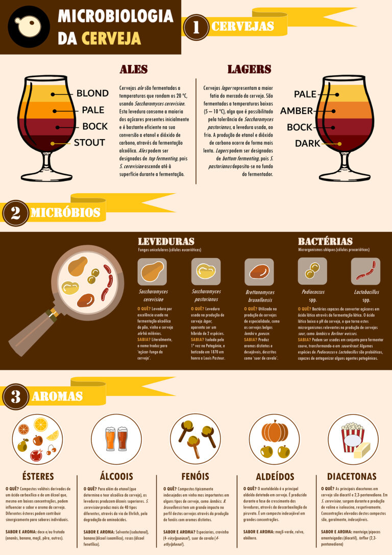 Microbiologia das Cervejas, por Nuno Bourbon