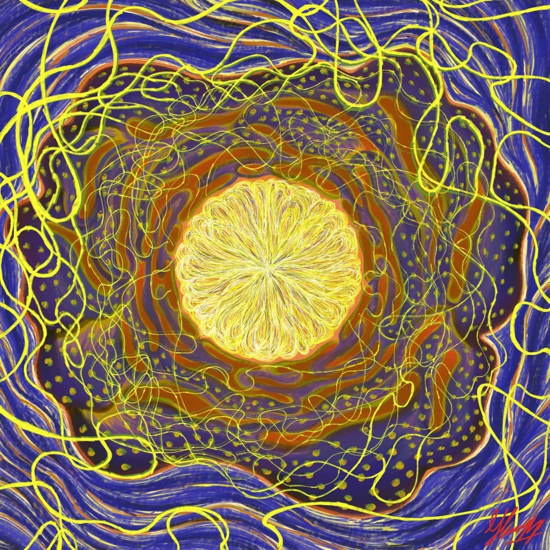 460570797_449204671484826_2967221241915003855_n.jpg