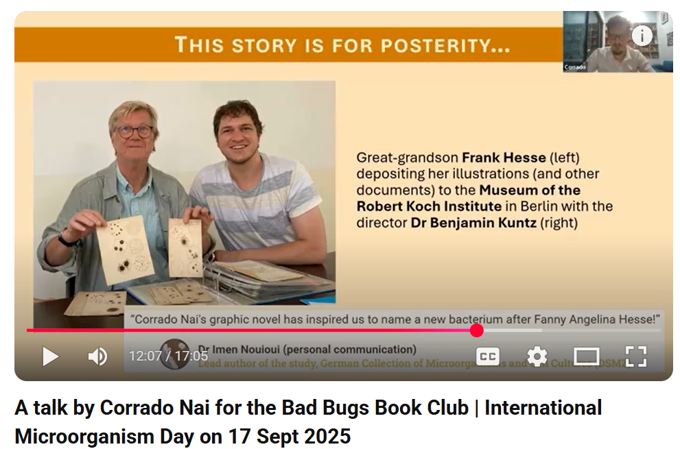 IMD BBB Fanny Hesse Graphic Novel online talk.png