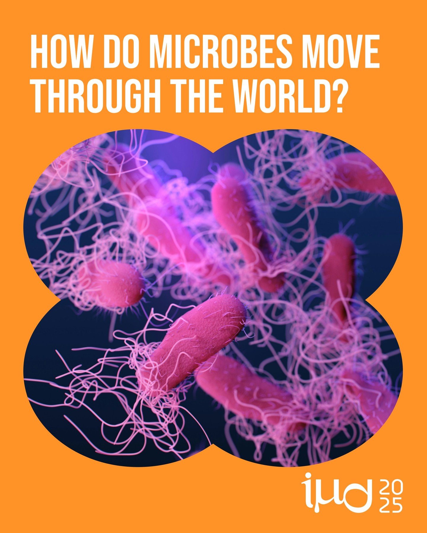 🦠 New IMD Blog 🦠
.
How do microbes move through the world? 🌍 From swimming and gliding to hitchhiking on hosts, these tiny travelers have fascinating strategies for survival and spread. 
.
Dive into the science behind microbial movement in our lat