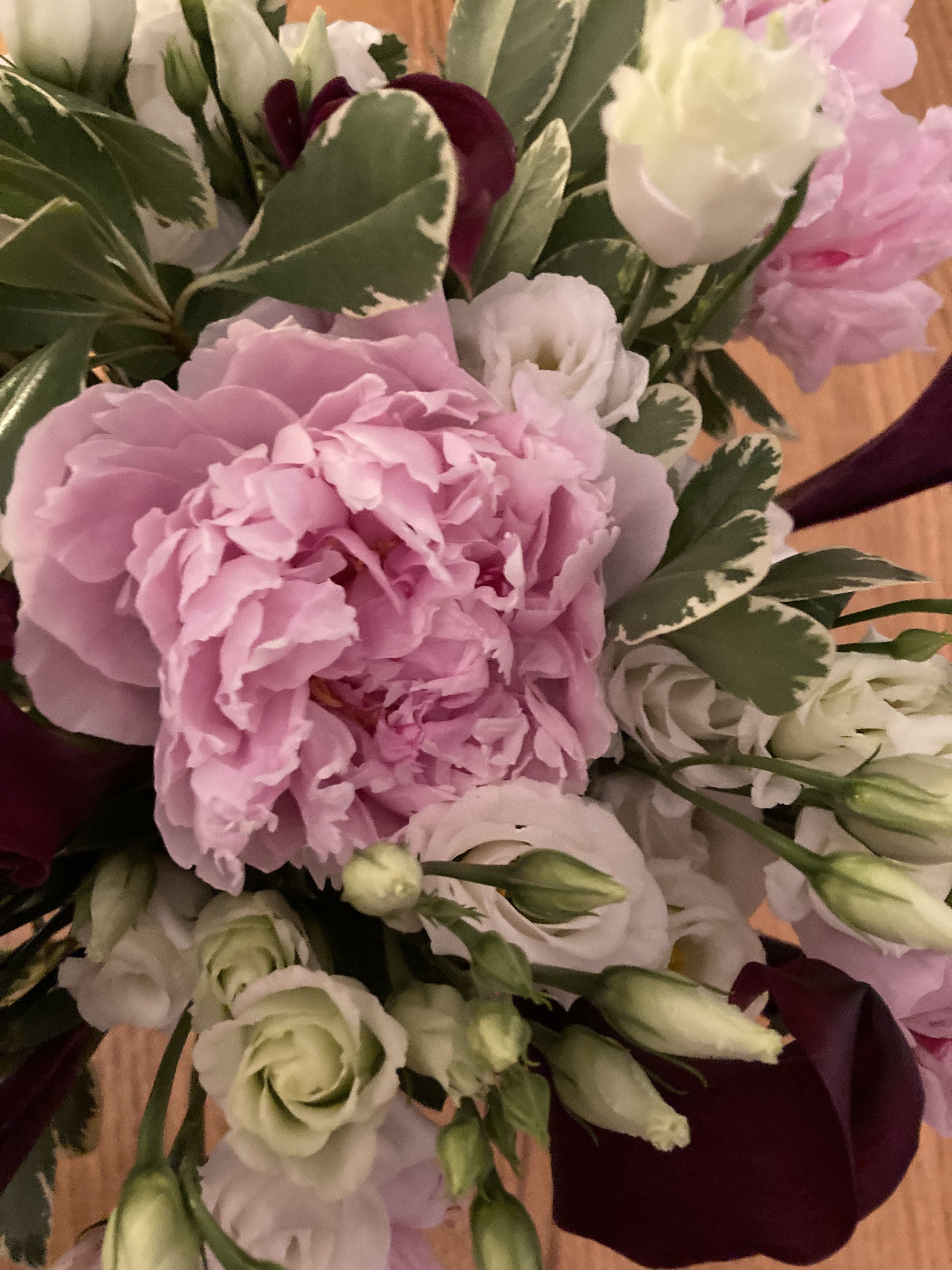 Photo_Flower Image_2.jpg