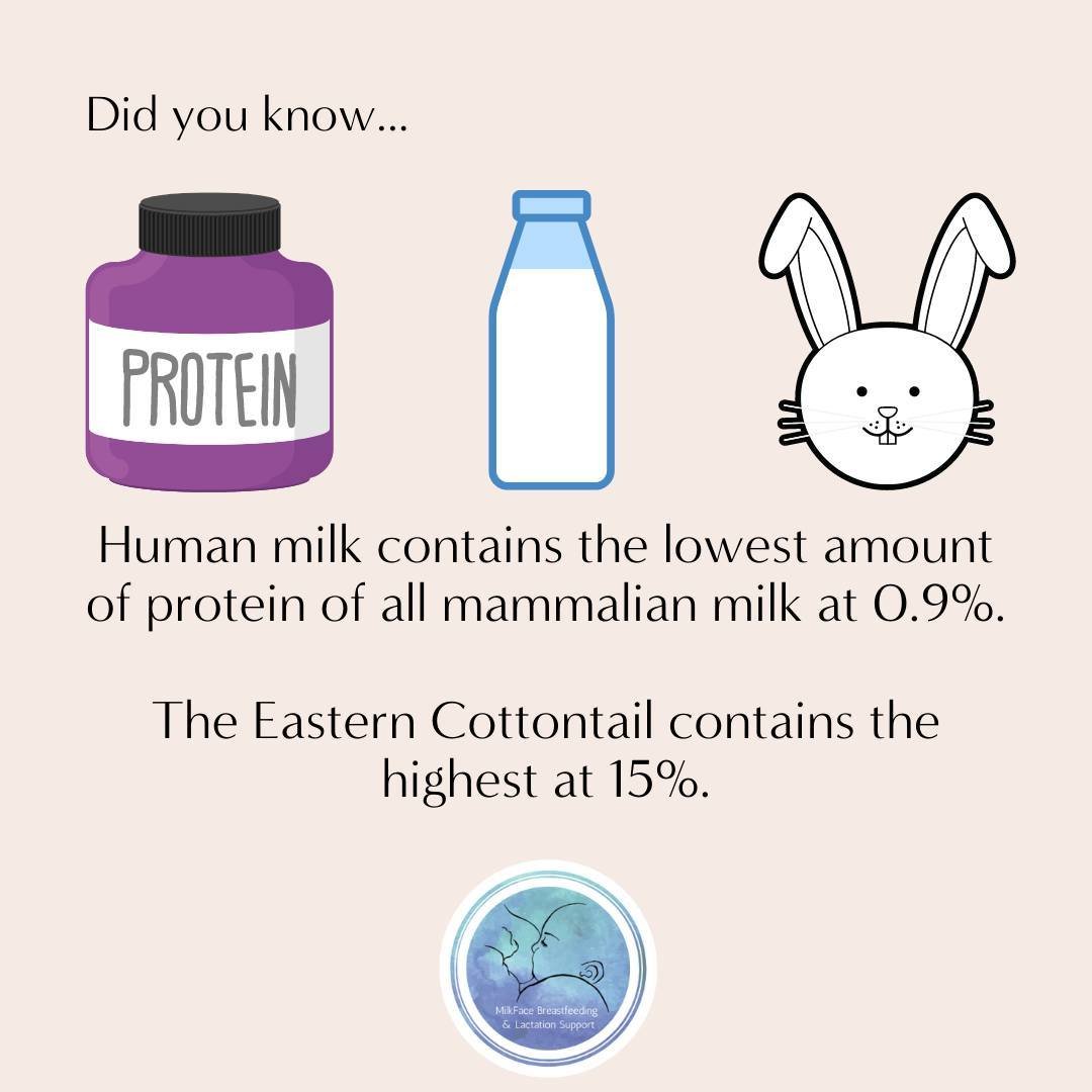 Last week I made a post about how Humans are carrier mammals living in a nesting mammal society.⁠
⁠
This is the science behind that. Human milk has the lowest amount of protein. It's not designed to keep your baby full for very long. It's designed to