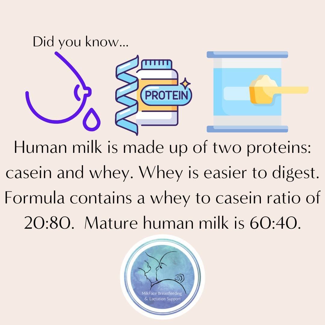 Because formula is higher in casein, it is harder to digest. Human milk has a gastric emptying time of approximately 48minutes, whereas formula is approximately 76 minutes.⁠
⁠
This is the root of the common belief that formula will keep your baby &qu