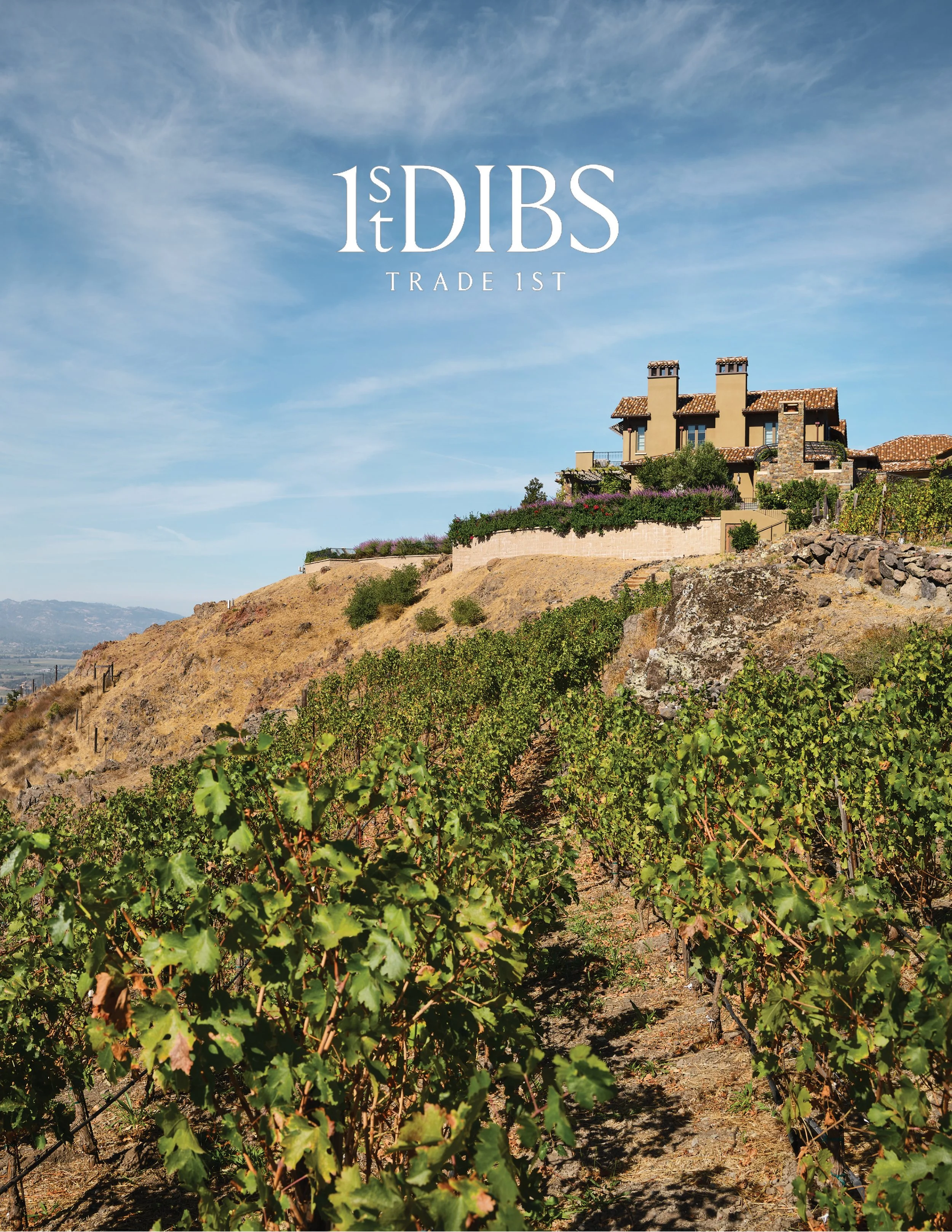 1stDibs - Soda Canyon