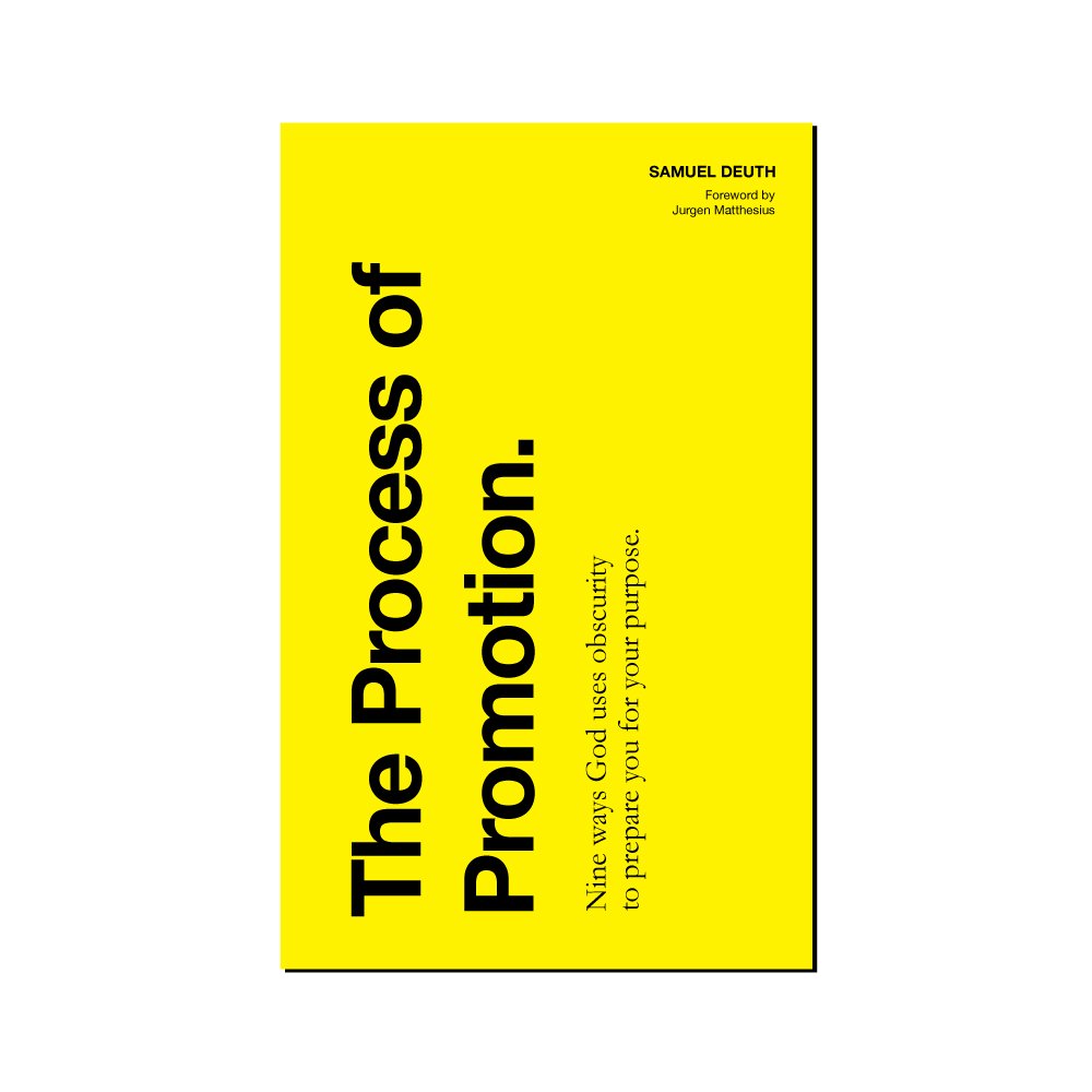 TheProcessofPromotion_Book_product_v1.jpg