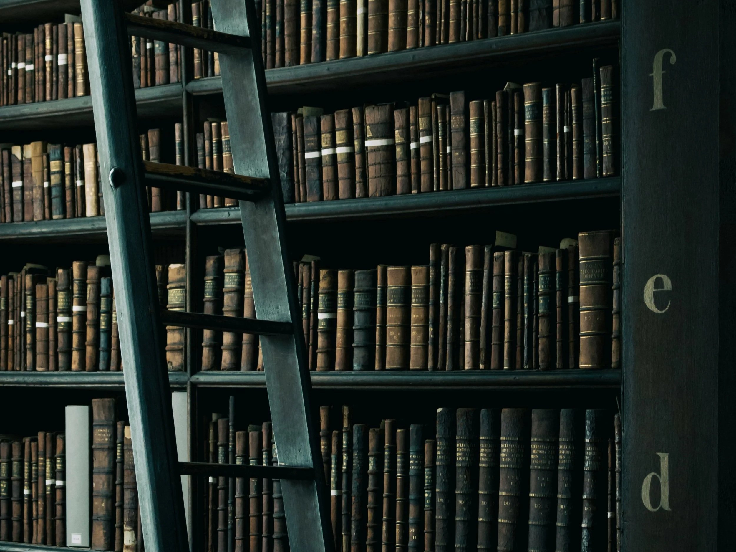 How to Launch Your Book Successfully: Marketing Strategies and Platform Building