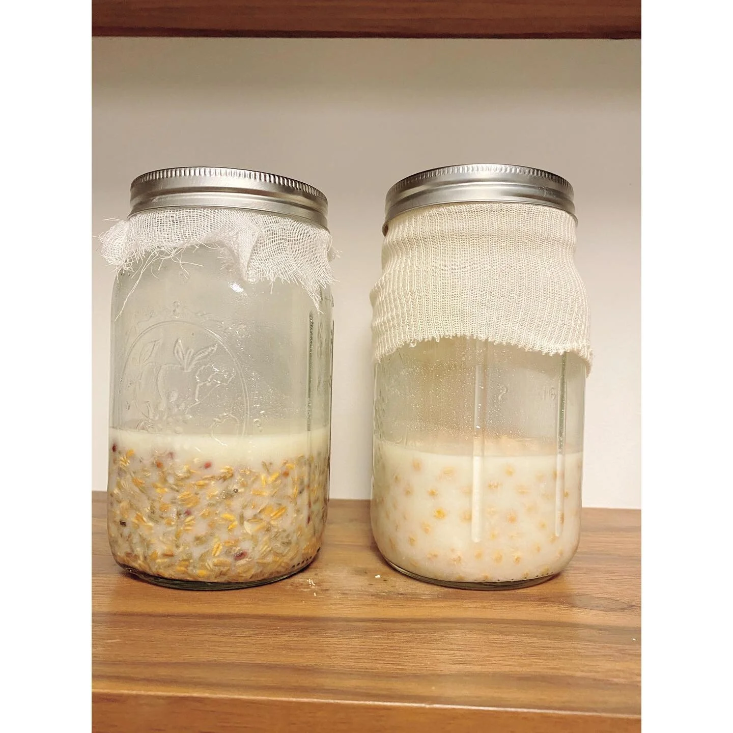 Lacto-fermented grains 🌾 
Trying something new. I got these grains from @bluehillfarm in a #resourcedbox and finally decided to do something with them. I often soak my grains in order to break down the phytic acid, removing barriers to full absorpti