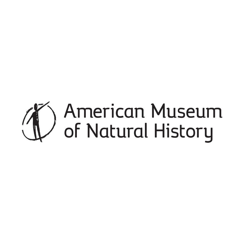 American Museum of Natural History.jpeg