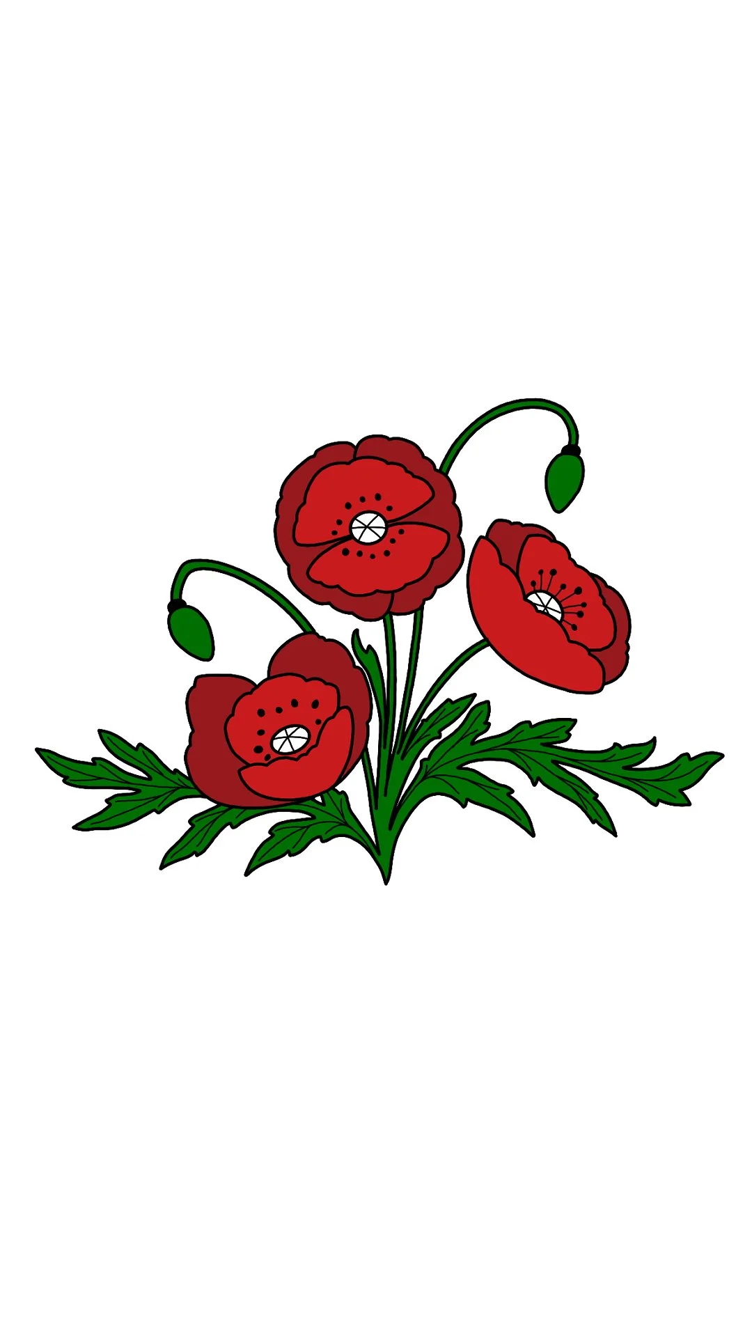 Red Poppy 5
