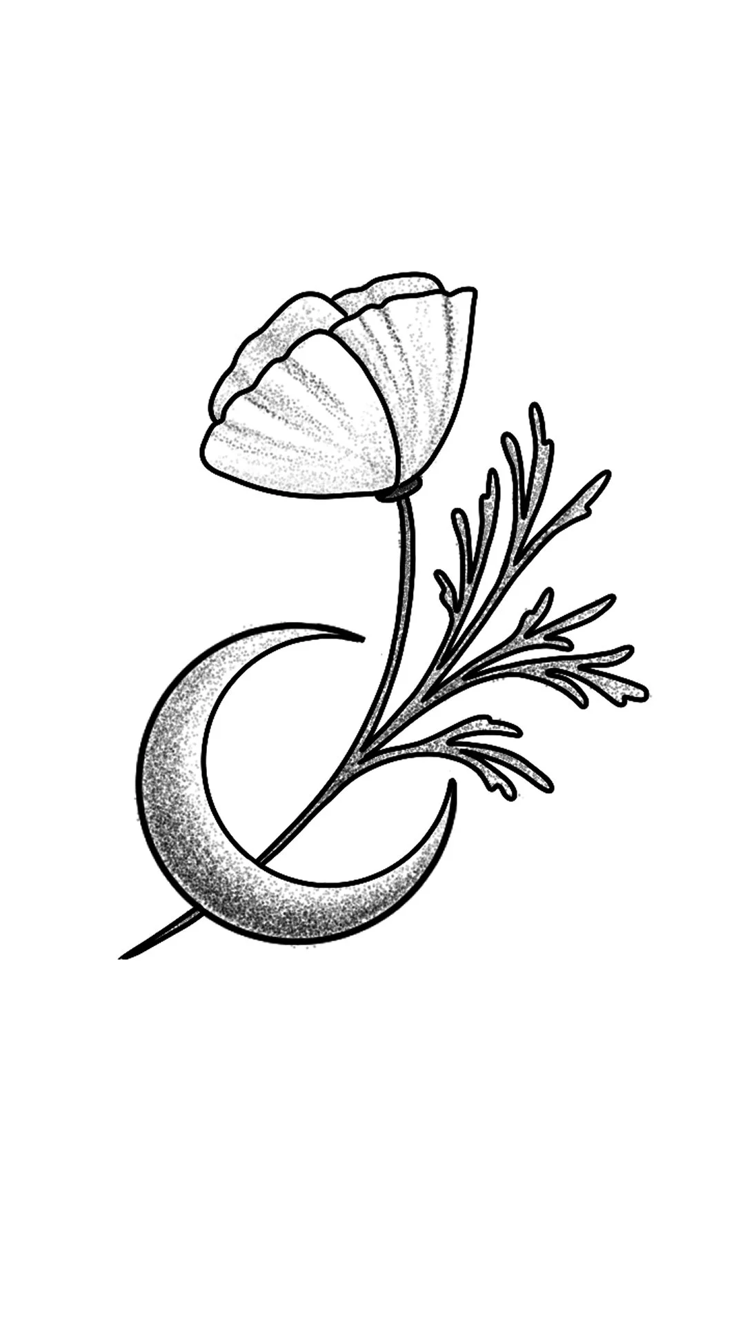 Mini moon and California poppy.jpg