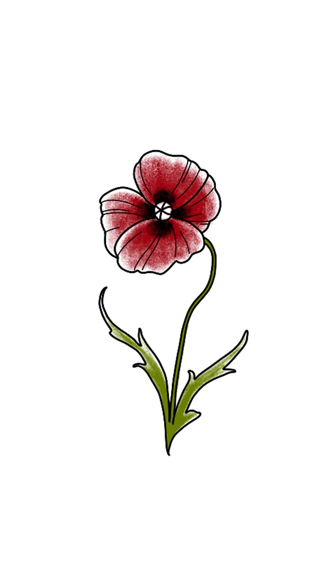Red Poppy 4