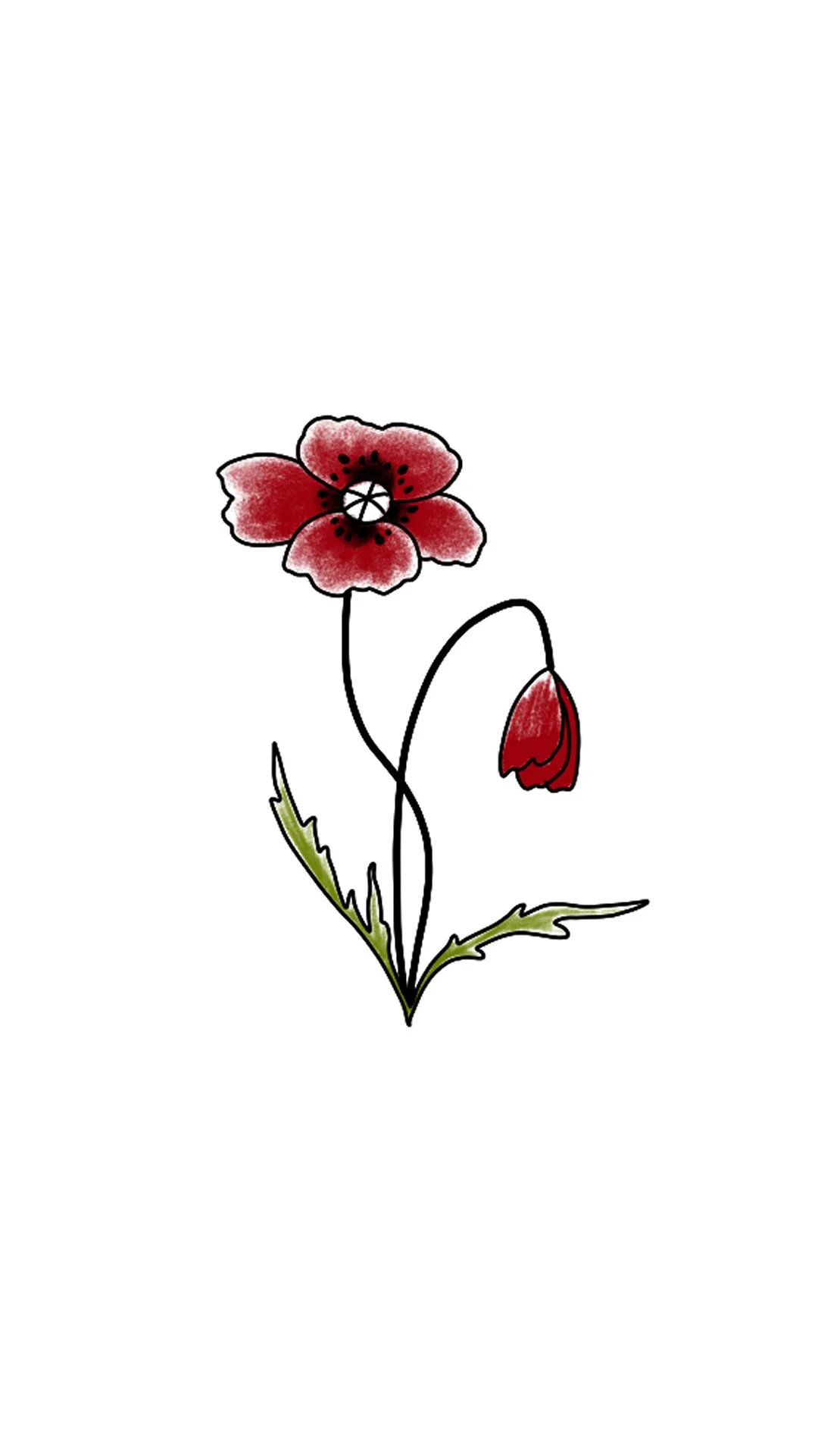 Red poppy 8.jpg
