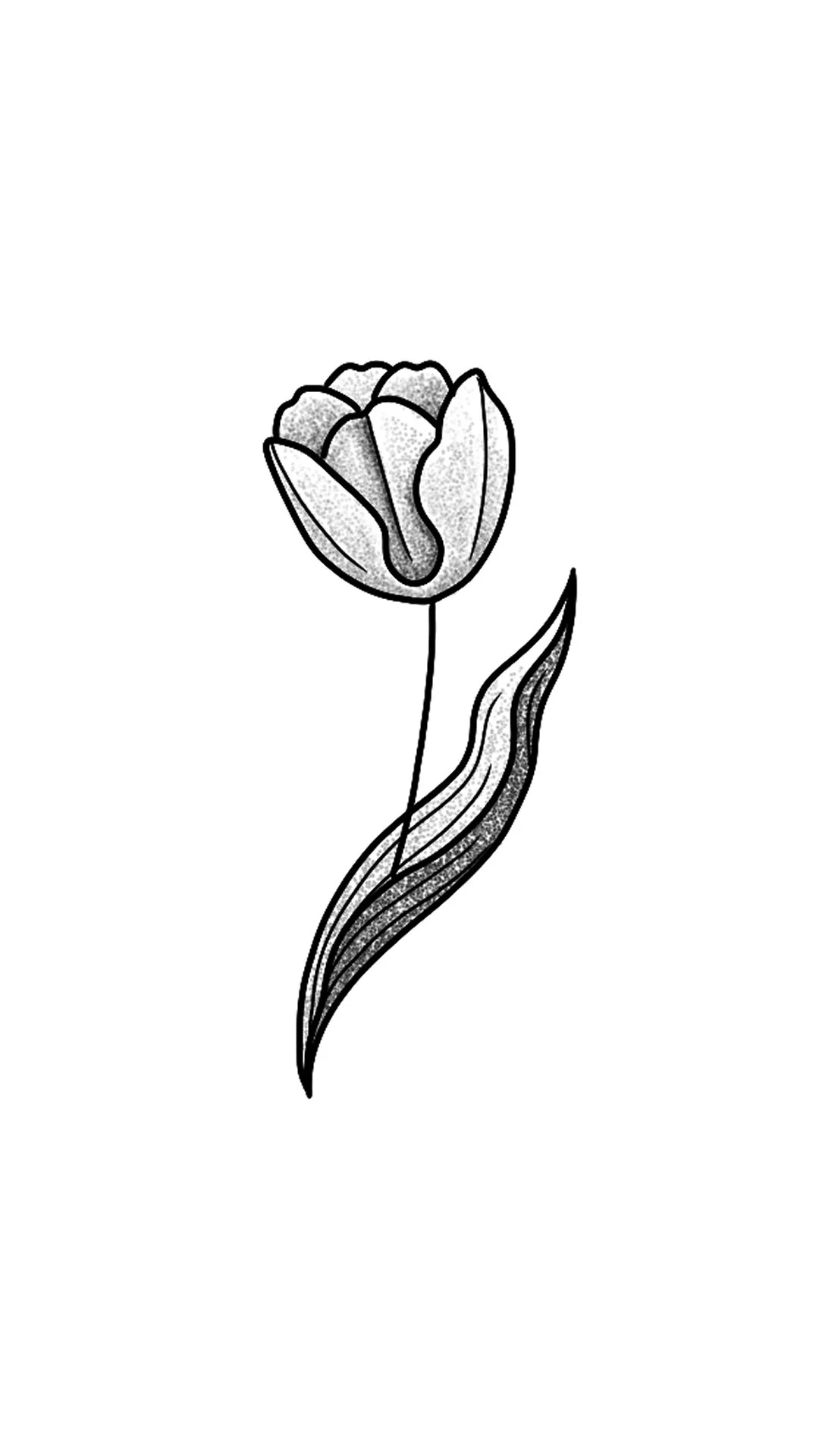 Tiny tulip 1.jpg