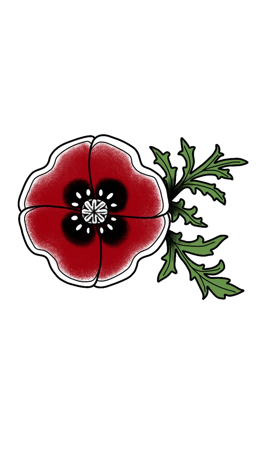 Red Poppy 3
