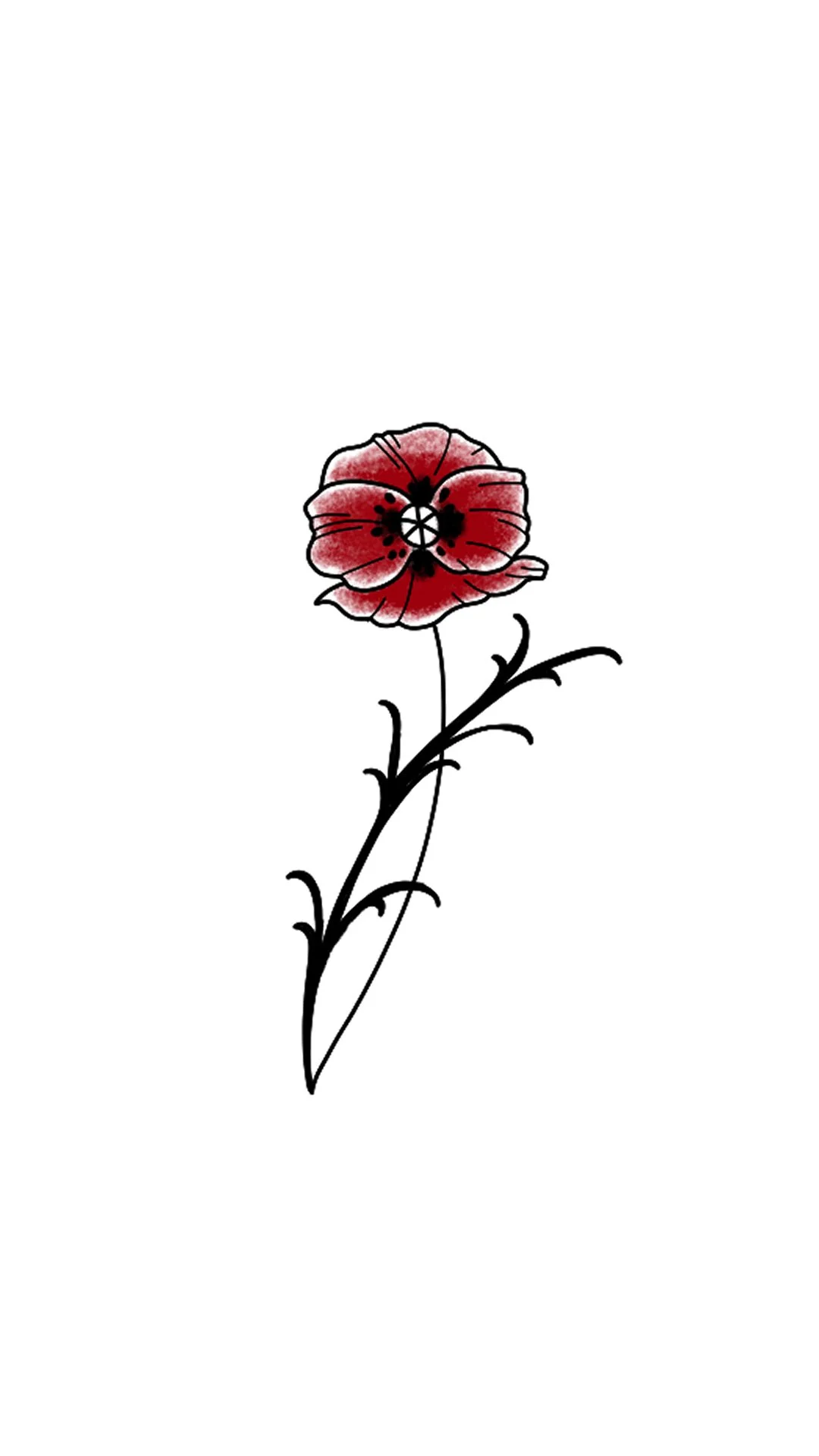 Red poppy 6.jpg