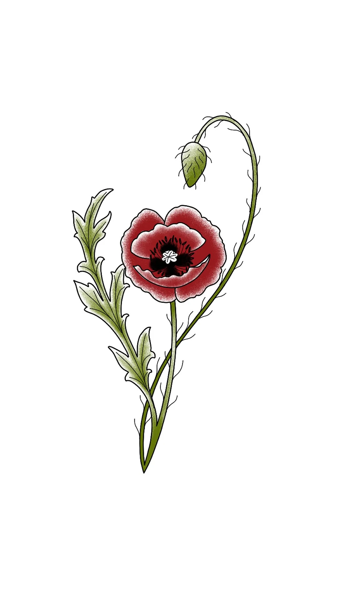 Red poppy 11.jpg