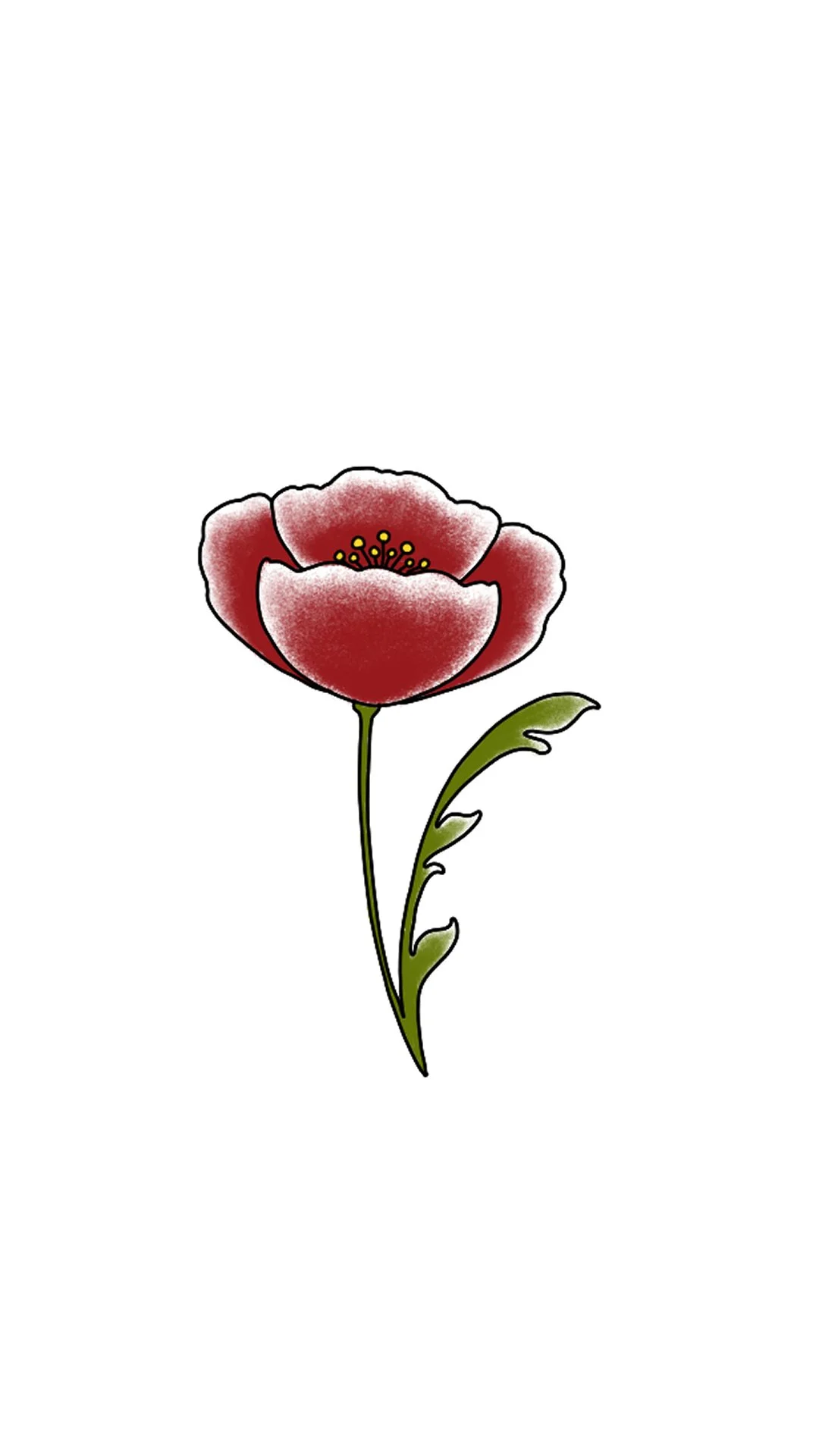 Red Poppy 7