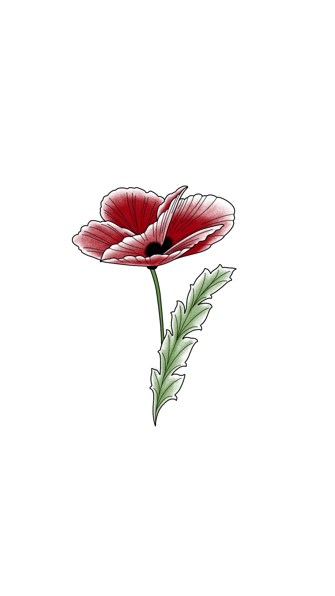 Red Poppy 9