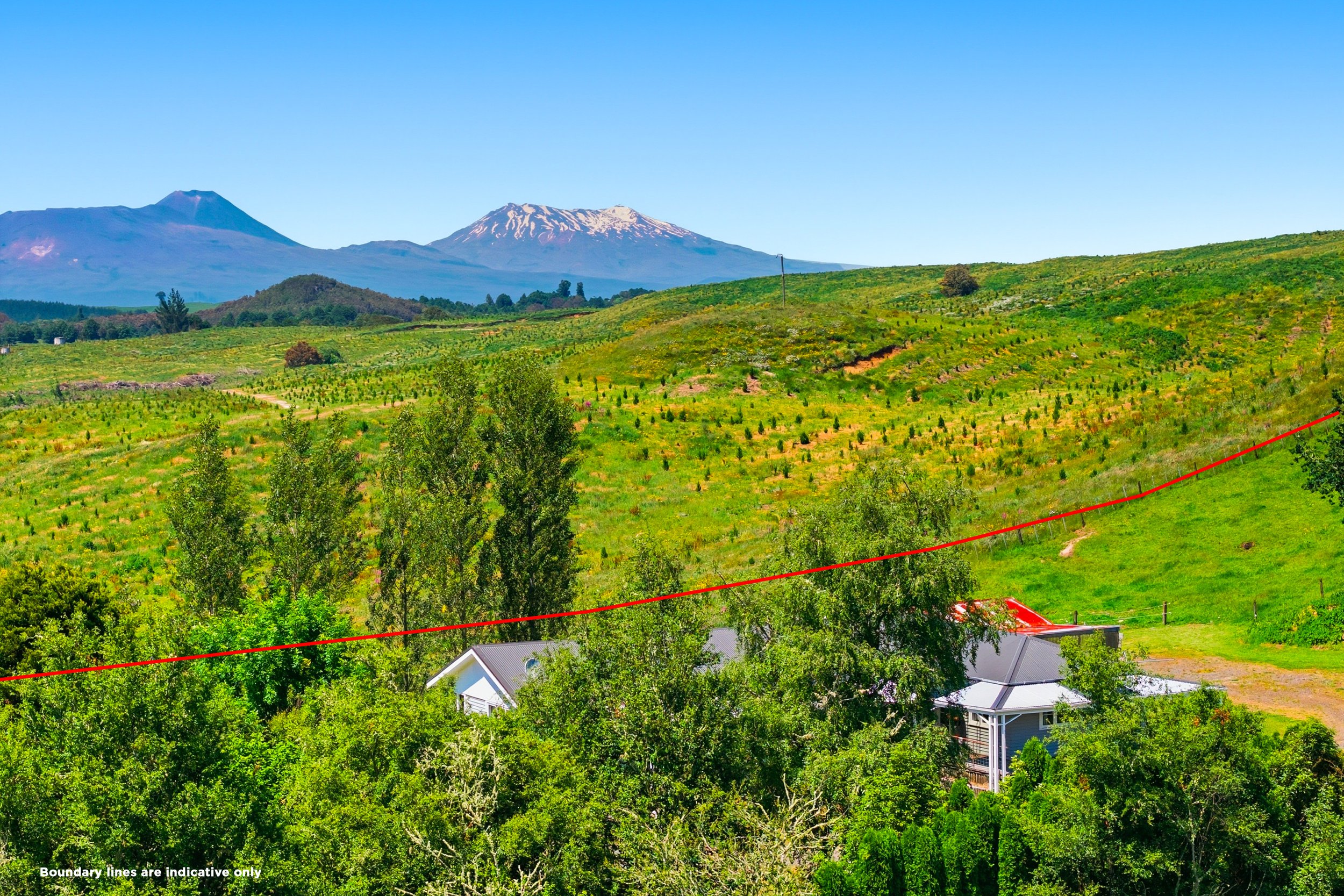 Spacious, sunny and full of possibility!