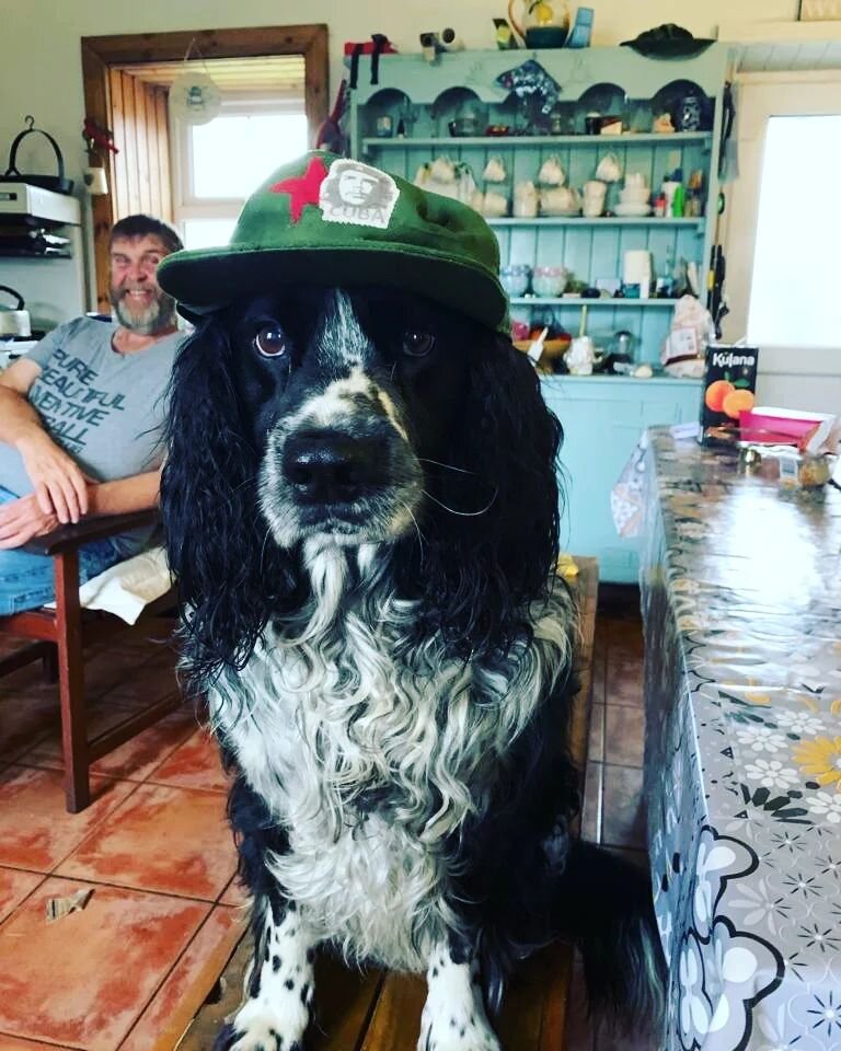 Comrade Tag sends solidarity greetings and courage to all striking postal workers and to all workers in the coming weeks and months. 

#postalstrike #posties #royalmail #royalmailofficial #strikes #costoflivingcrisis