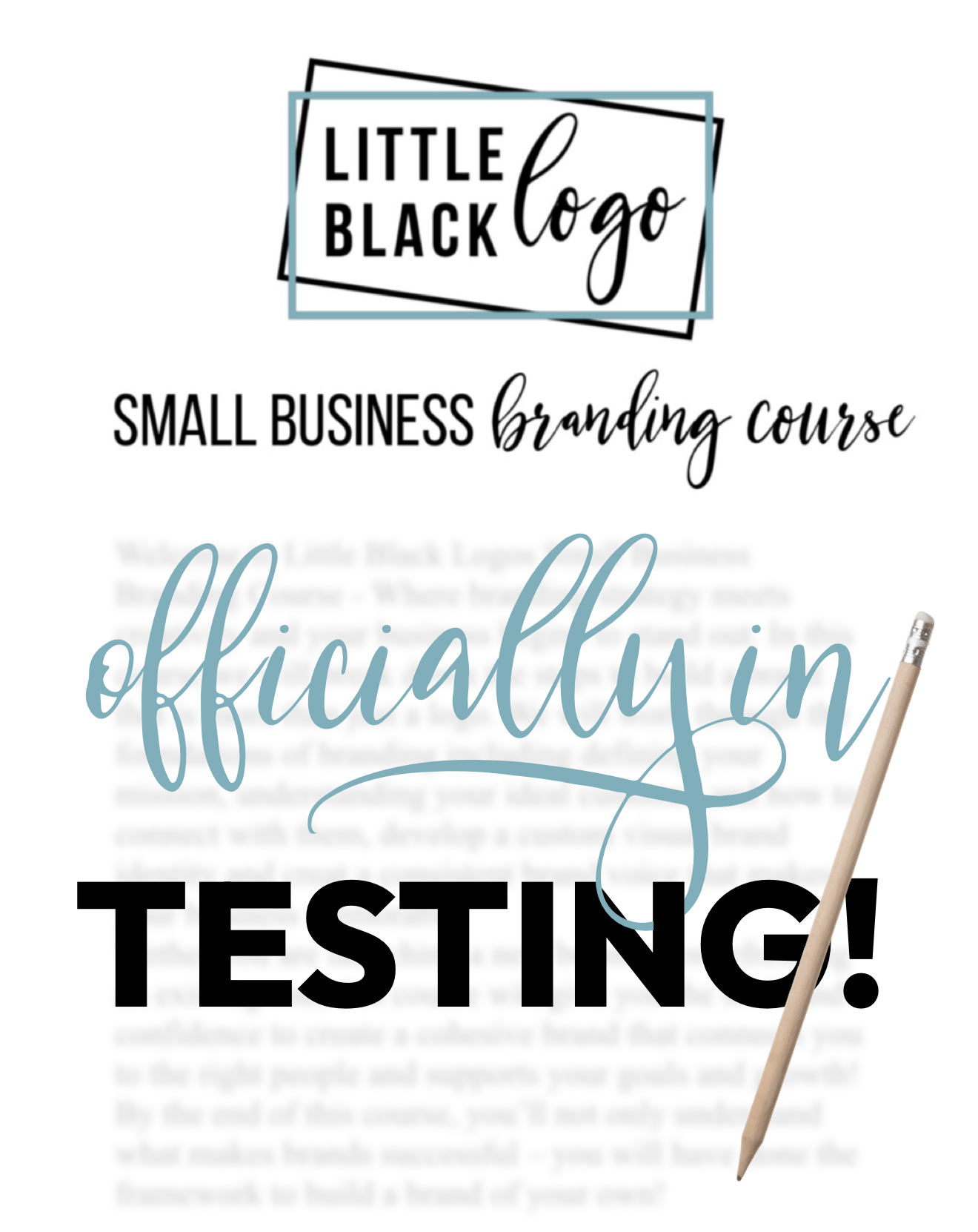 Branding Course - Digital PDF