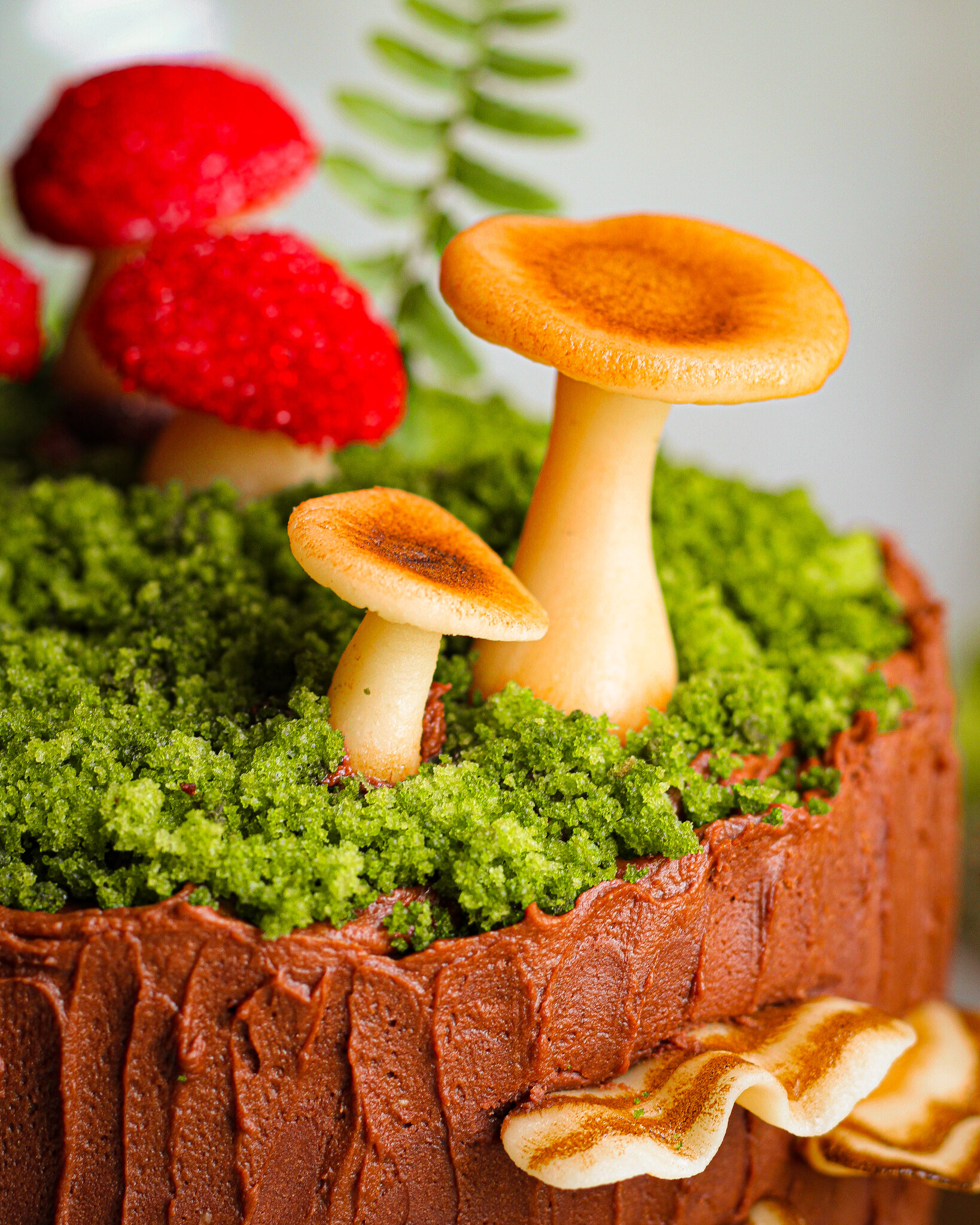 Enchanted Forest Chocolate Cake — Must Love Herbs