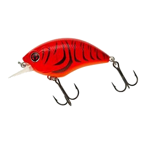 scb 100 crayfish.png