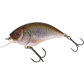 scb 100 real life gardon.png