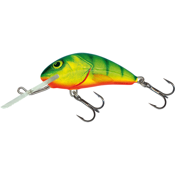 hornet5 hot perch.jpg.png