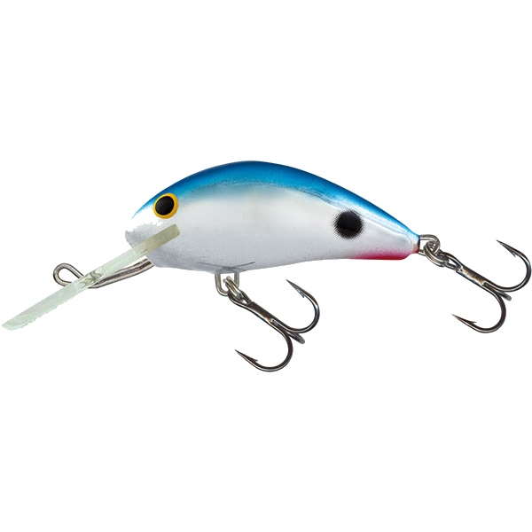 hornet red tail shiner.png