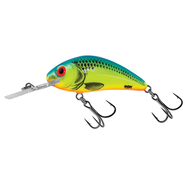 hornet4.5 chart blue.jpg.png