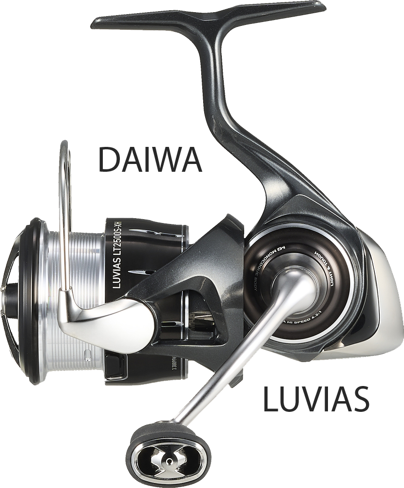 DAIWA LUVIAS 2024