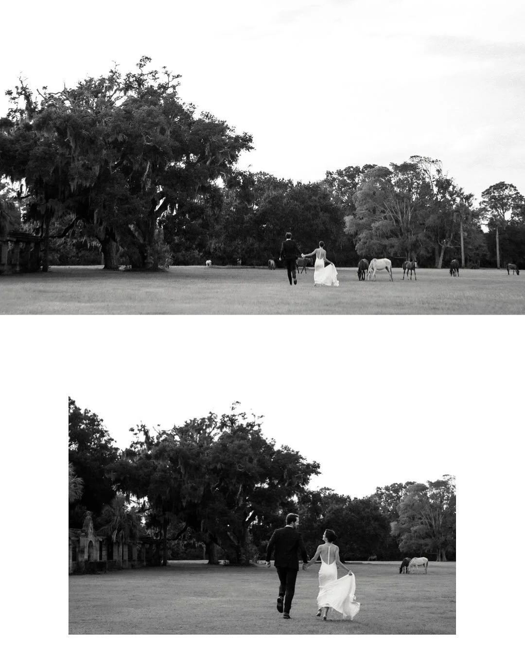 &bull;
&bull;
&bull;
#georgiaweddingphotographer #ameliaislandweddingphotographer #greyfieldinn #cumberlandisland #cumberlandislandphotographer #floridaweddingphotographer #atlantaweddingphotographer #southgeorgiaphotographer #jacksonvilleweddingphot