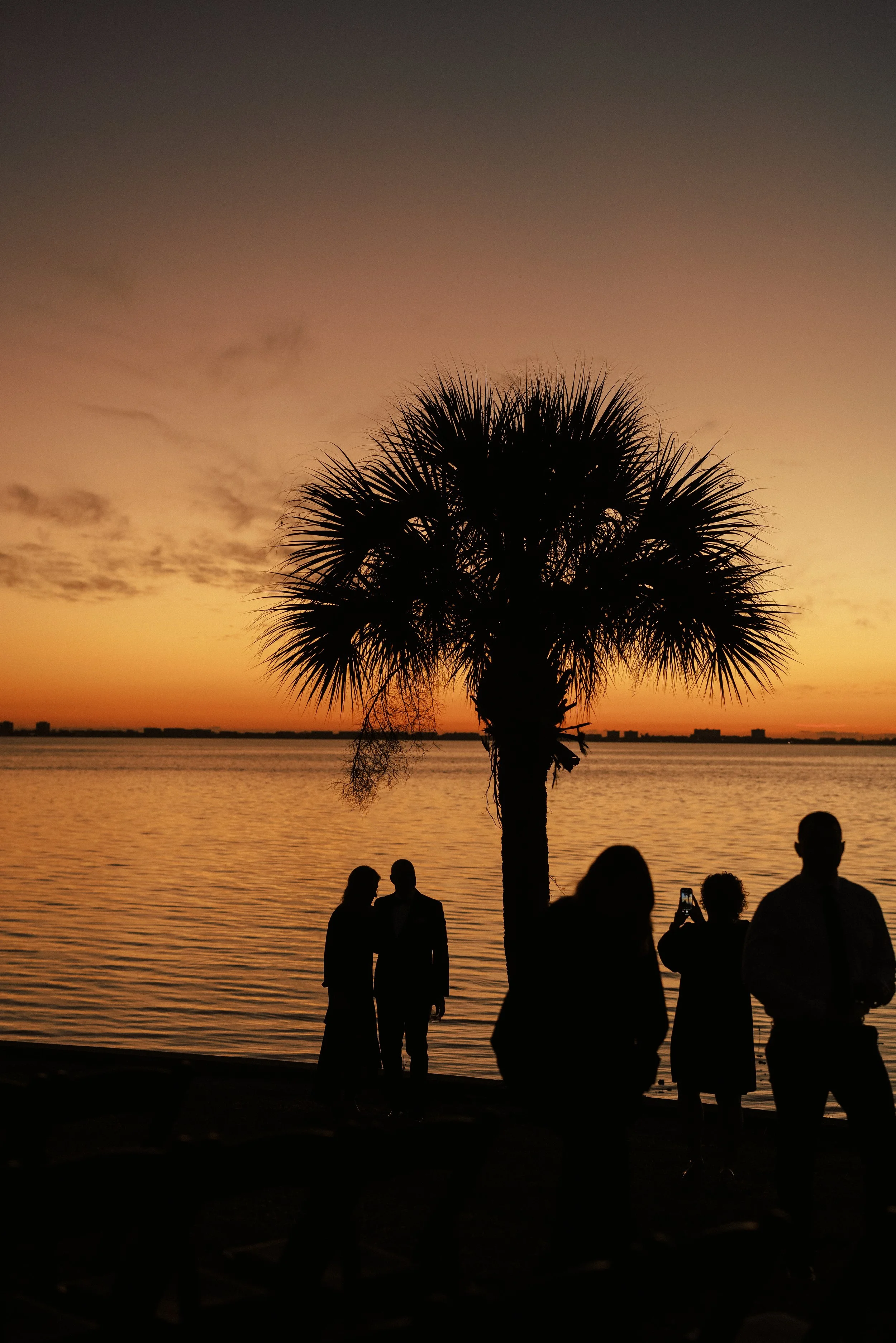 Silhouettes of people near a palm tree during sunset by a body of water.