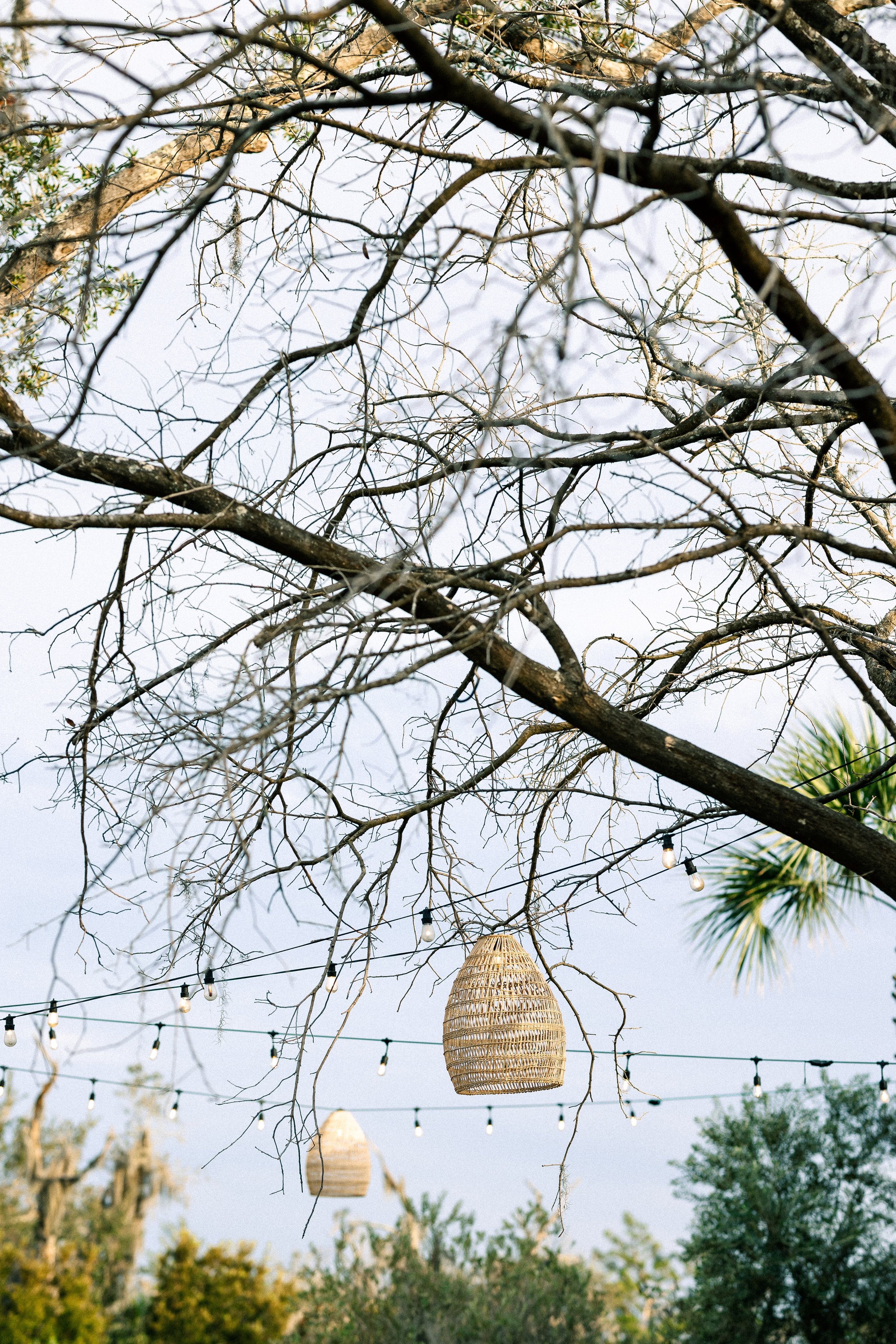 String of string lights hanging from in a tree with bare branches and a woven hanging lamp.