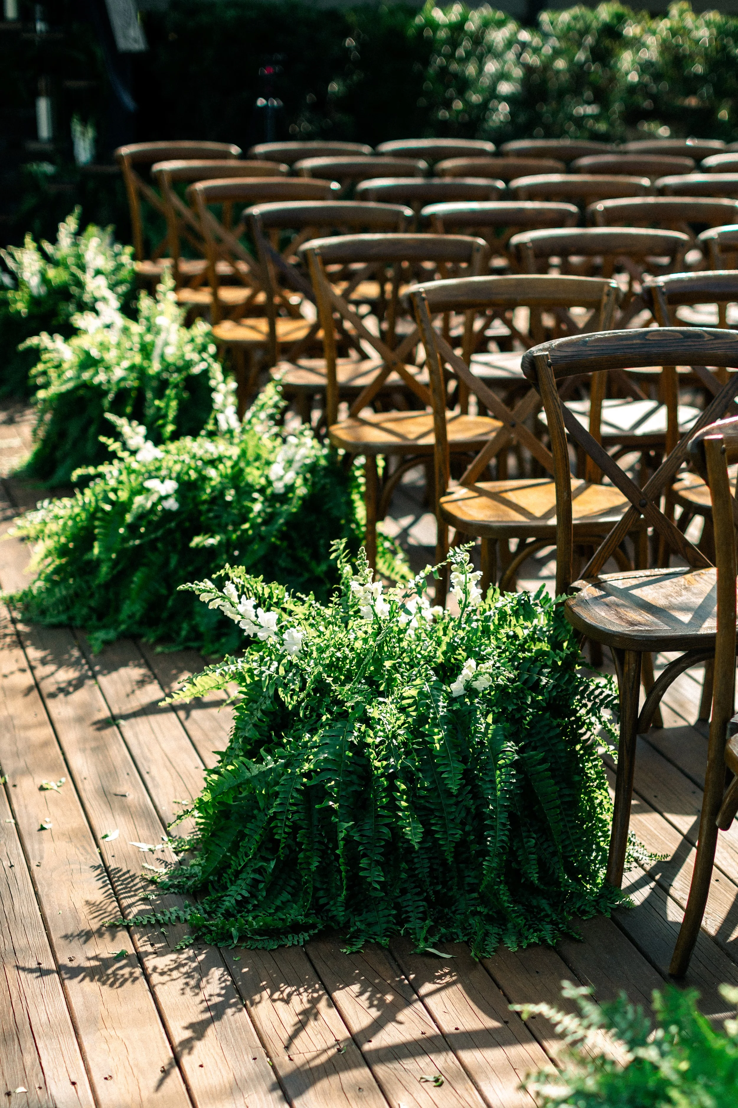 Series of wooden chairs arranged on a wooden deck with large green fern plants and white florals in front, with sunlight and shadows creating a warm outdoor setting.