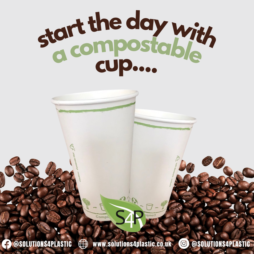 Clear Compostable Gift Bags 100 Compostable 0 Plastic Cellophane