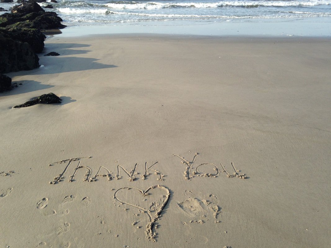 The Power of Gratitude