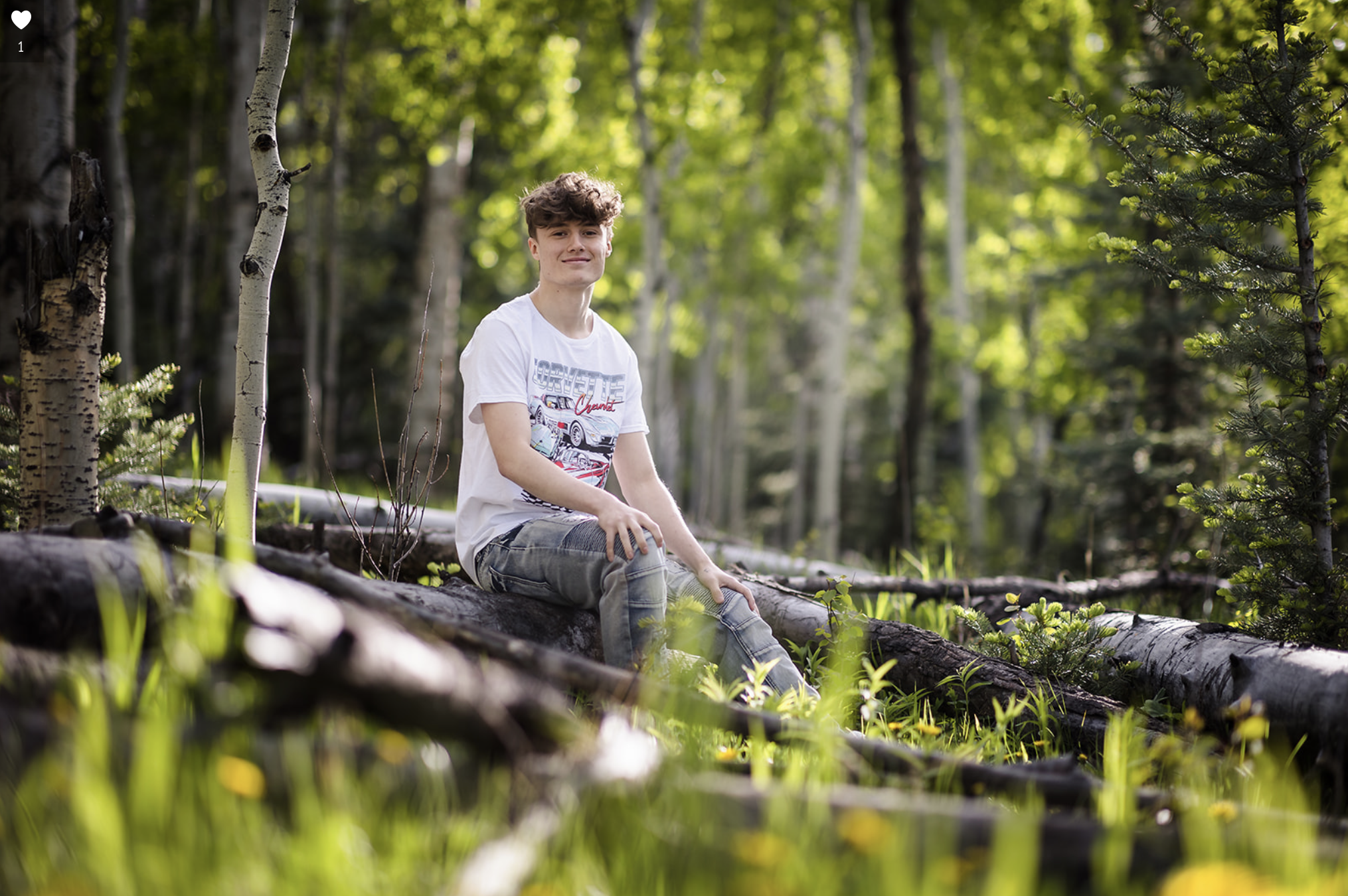 A young man with curly hair sitting on a fallen tree trunk in a forest, surrounded by green trees and grass, with sunlight filtering through the leaves.