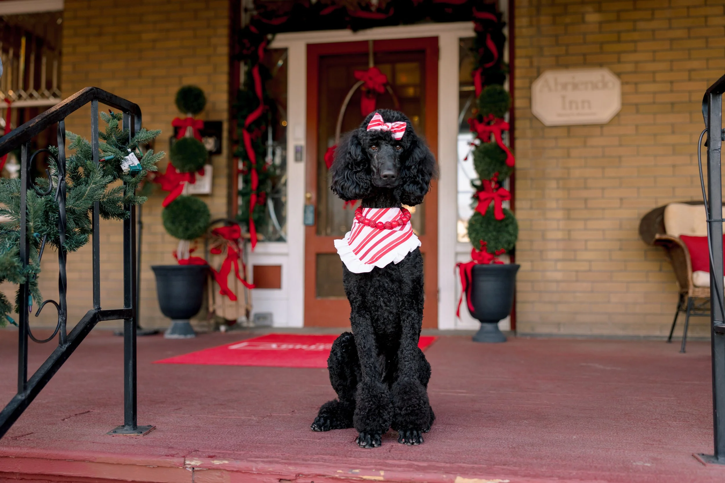 Lepik-Photography-Family-Whitney-Blake-Holiday-12.jpg