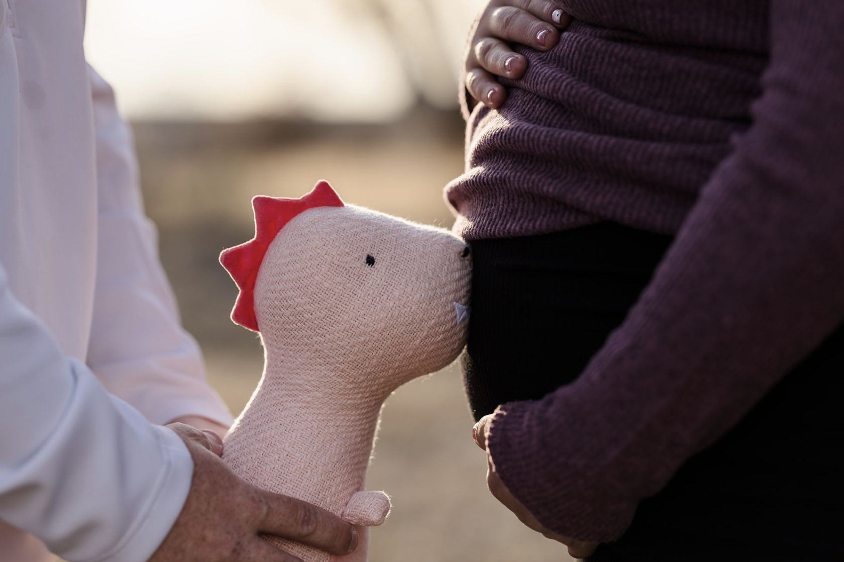 Lepik-Photography-Maternity-Photos-Pueblo-CO 2023 06.png