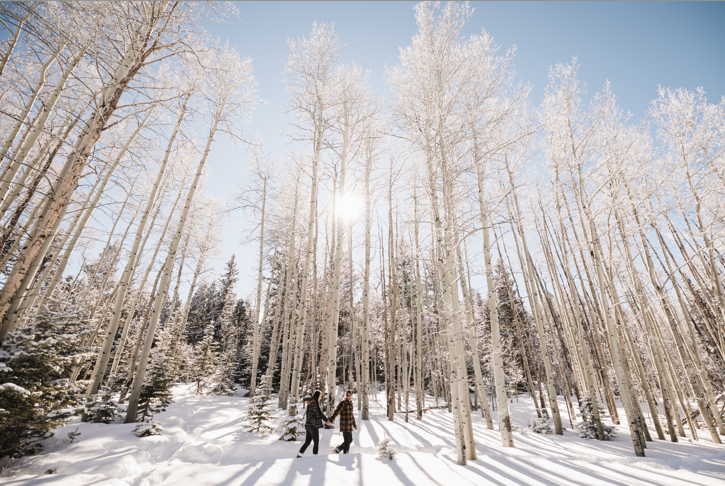 Lepik-Photography-Couples-Photos-Rye-CO 2024 Biby 08.png
