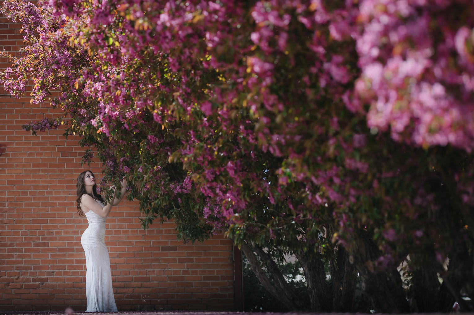 Senior-Photos-Pueblo-CO 2025 Amanda.D 08.png