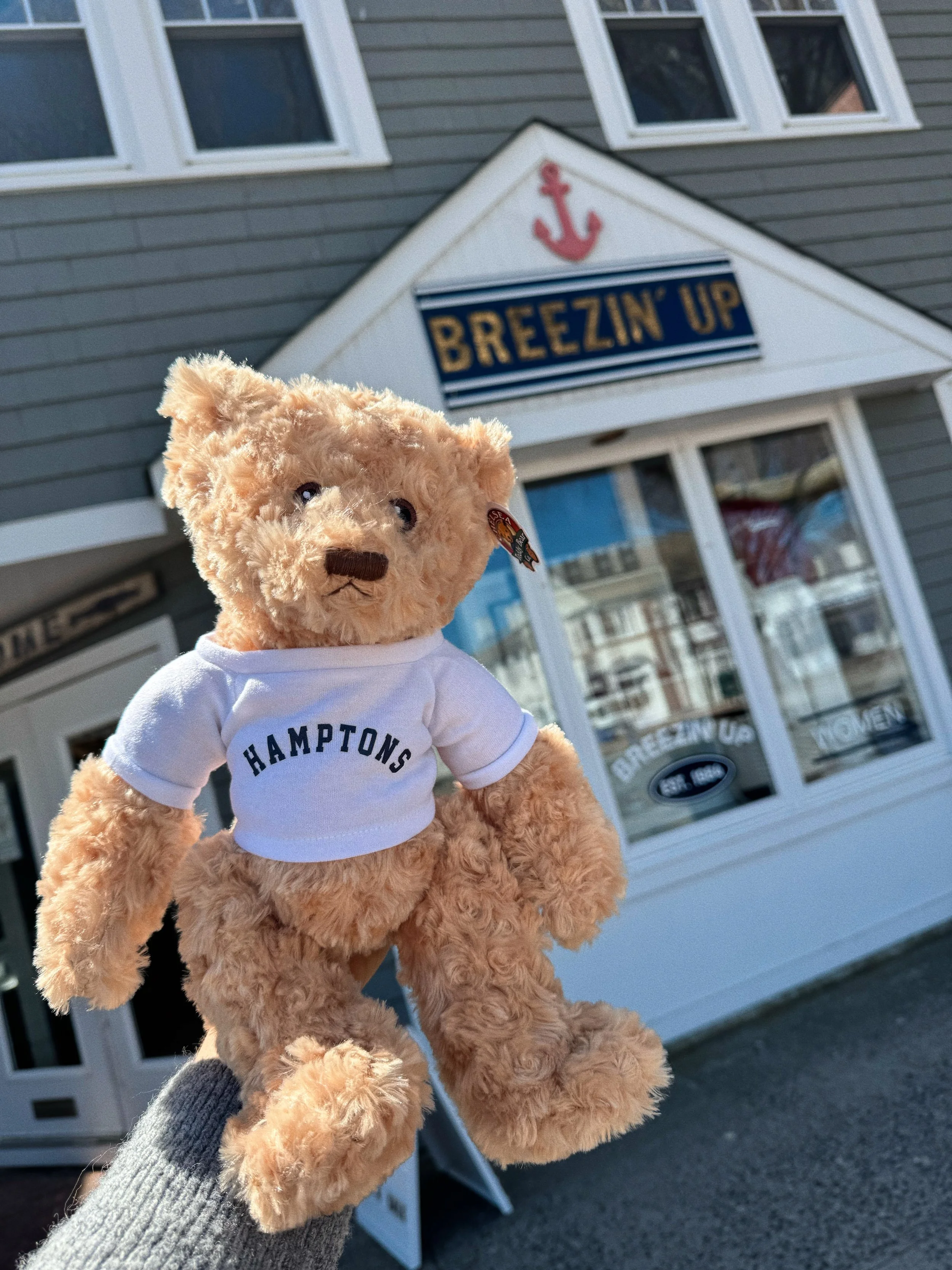 Hamptons Teddy Bear